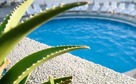 Adriatiq Fontana