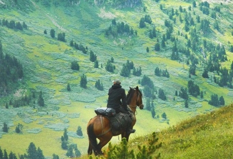 Джигитовка для чайников (8 дней/7 ночей), конный тур, Северный Кавказ
