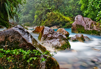 Коста Рика для любителей природы 2023