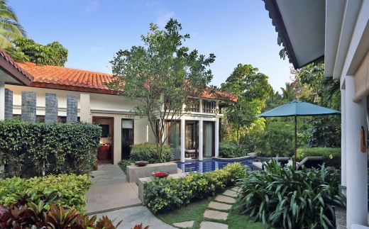 Banyan Tree