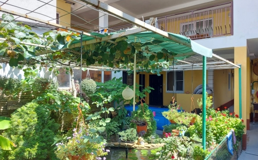 Green Zone