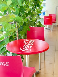 Green Zone