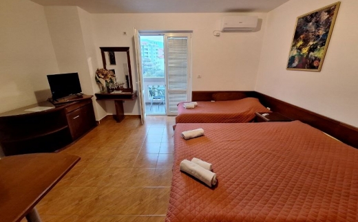 Apartments Golijanin