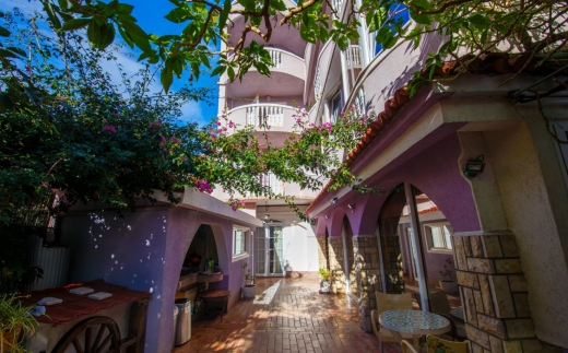 Guest House Violet Economy