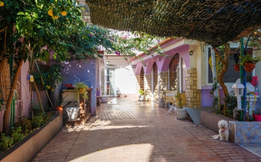 Guest House Violet Economy