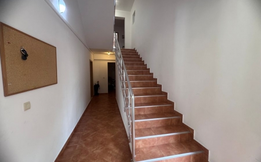 Apartments Stevan