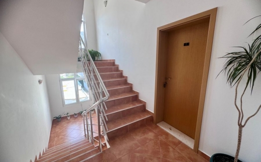 Apartments Stevan