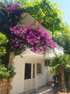 Apartments Irena
