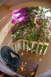Guest House Lotos