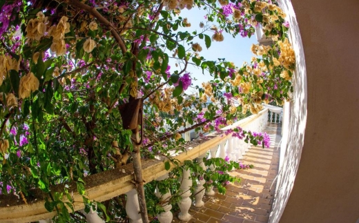 Guest House Lotos