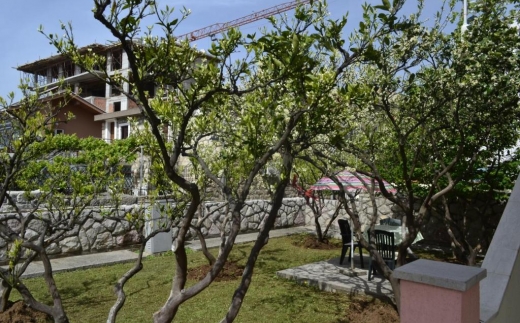 Apartments Stanka
