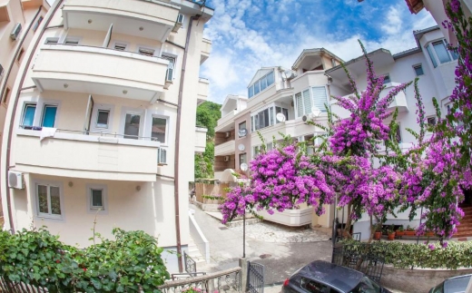Guest House Violet
