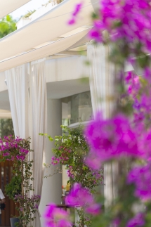 Susona Bodrum Luxury (Ask&Sell)