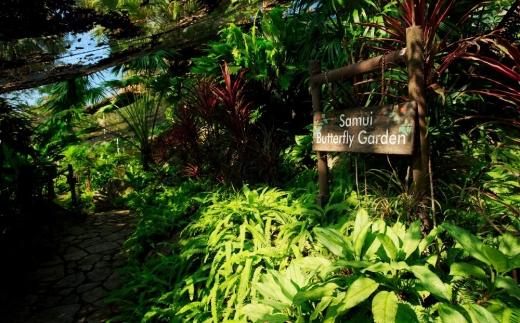 Centara Villas Samui