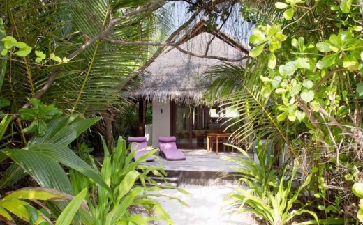 Coco Bodu Hithi