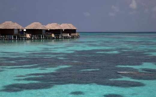 Coco Bodu Hithi