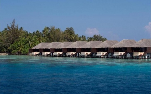 Coco Bodu Hithi