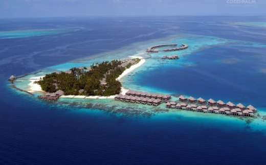 Coco Bodu Hithi