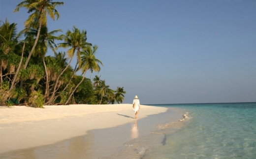 Coco Palm Dhuni Kolhu