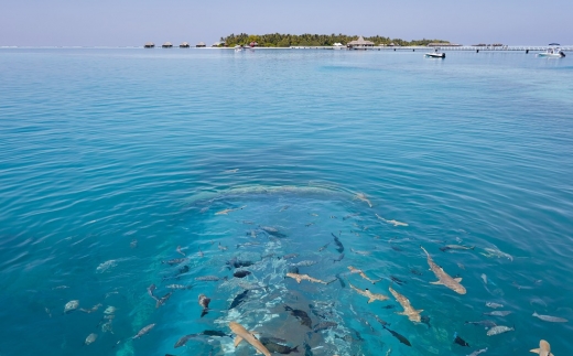 Conrad Maldives Rangali Island