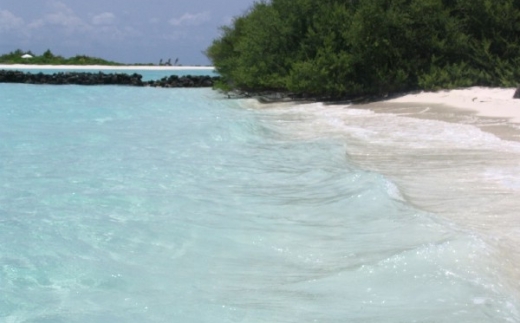 Dhoni Island