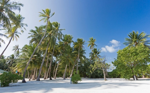 Meeru Island Resort