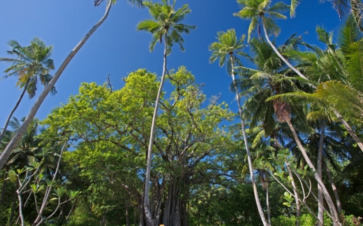 Meeru Island Resort