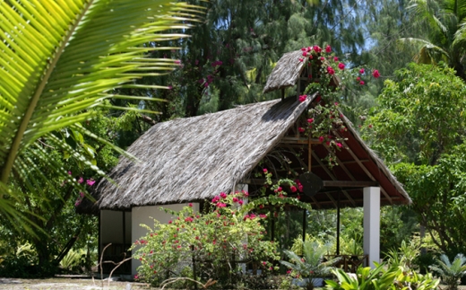 Denis Island Seychelles