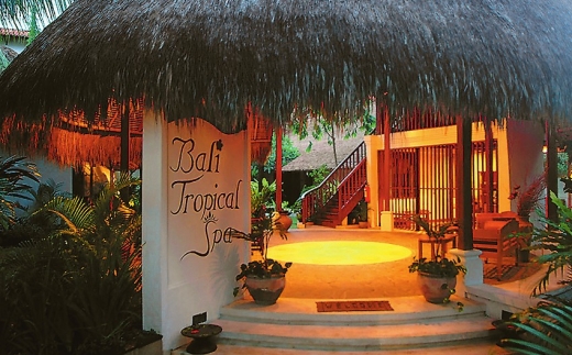 Bali Tropic