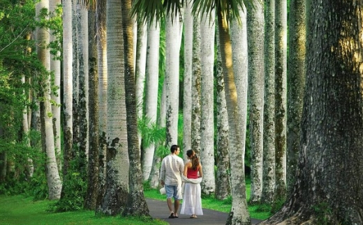 Four Seasons Resort Mauritius At Anahita