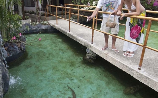 Bluewater Maribago Bech Resort