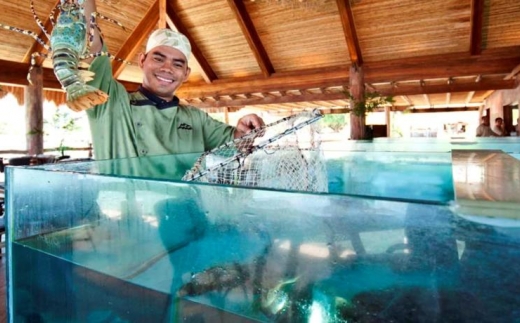 Bluewater Maribago Bech Resort