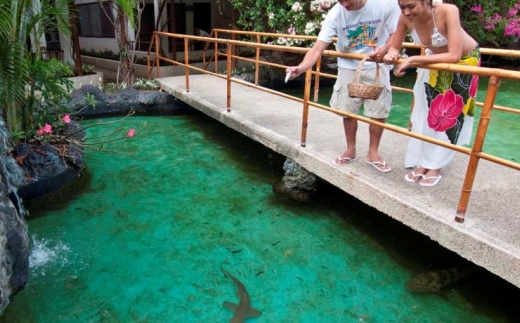 Bluewater Maribago Bech Resort