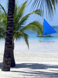 Boracay Mandarin