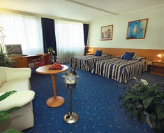 Top Hotel Praha