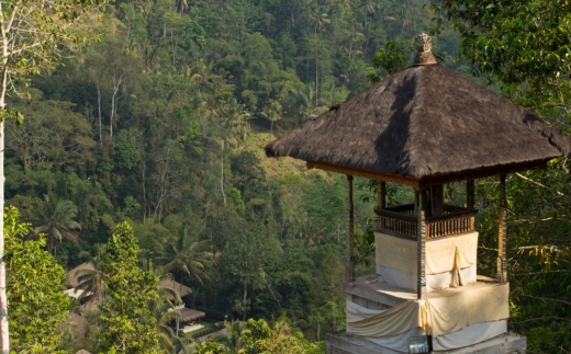 Hanging Gardens Of Bali