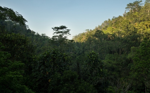 Hanging Gardens Of Bali