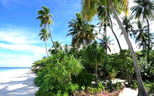 Robinson Club Maldives