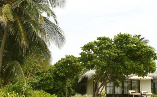 Zitahli Resort & Spa Kuda-Funafaru