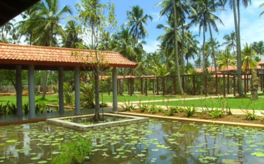 Serene Pavilions