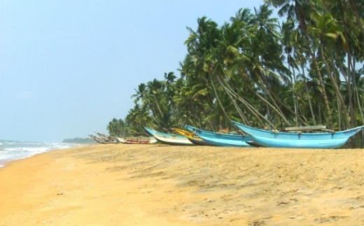 Serene Pavilions