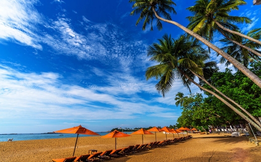 Calamander Unawatuna Beach