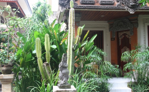 Seminyak Paradiso