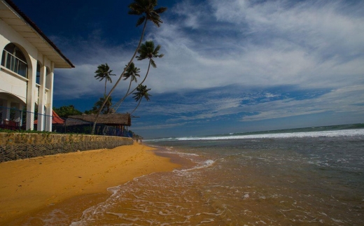 Lanka Super Corals