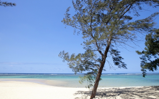 Sofitel So Mauritius Bel Ombre