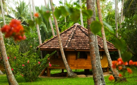 Palm Paradise Cabanas