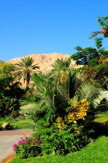 Ein Gedi Spa Hotel