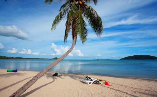 Centra Coconut Beach Resort Samui