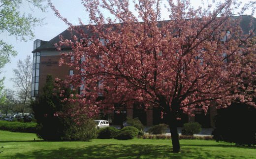 The Aquincum Hotel Budapest