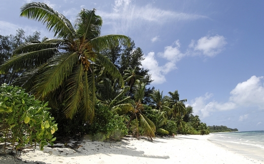 Le Bonheur Luxury Villa